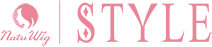 logo_style